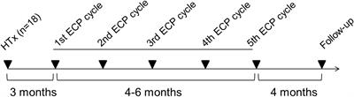 Immune Monitoring Assay for Extracorporeal Photopheresis Treatment Optimization After Heart Transplantation